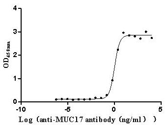 Activity Measured by its binding ability in a functional ELISA. Immobilized Human MUC17 at 2 μg/mL can bind Anti-MUC17 recombinant antibody , the EC 50 is 0.9057-1.259 ng/mL.