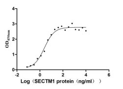 Activity Measured by its binding ability in a functional ELISA. Immobilized CD7 at 5 μg/ml can bind human SECTM1, the EC 50 is 1.811-3.372 ng/ml. Biological Activity Assay