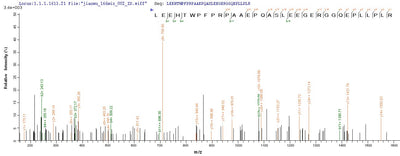 Based on the SEQUEST from database of Mammalian Cell host and target protein, the LC-MS/MS Analysis result of this product could indicate that this peptide derived from Mammalian Cell-expressed Homo sapiens (Human) FAM167A.