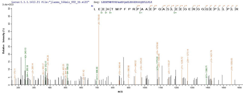 Based on the SEQUEST from database of Mammalian Cell host and target protein, the LC-MS/MS Analysis result of this product could indicate that this peptide derived from Mammalian Cell-expressed Homo sapiens (Human) FAM167A.