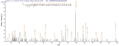 Based on the SEQUEST from database of Mammalian Cell host and target protein, the LC-MS/MS Analysis result of this product could indicate that this peptide derived from Mammalian Cell-expressed Homo sapiens (Human) FAM167A.