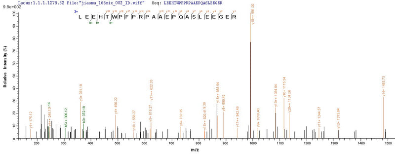 Based on the SEQUEST from database of Mammalian Cell host and target protein, the LC-MS/MS Analysis result of this product could indicate that this peptide derived from Mammalian Cell-expressed Homo sapiens (Human) FAM167A.