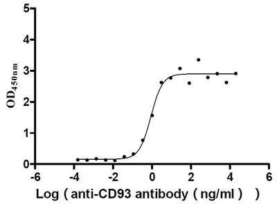 Activity Measured by its binding ability in a functional ELISA. Immobilized Human CD93 at 2 μg/ml can bind Anti-CD93 recombinant antibody , the EC 50 is 0.6639-1.173 ng/mL. Biological Activity Assay