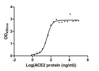 Measured by its binding ability in a functional ELISA. Immobilized SARS-CoV-2-S1-RBD at 5 μg/ml can bind human ACE2, the EC 50 of human ACE2 protein is 31.80 - 44.69 ng/ml. Biological Activity Assay