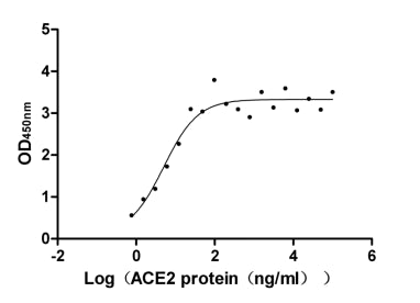 Measured by its binding ability in a functional ELISA. Immobilized SARS-CoV-2-S1-RBD at 5 μg/ml can bind human ACE2, the EC 50 is 2.785-9.139 ng/ml. Biological Activity Assay