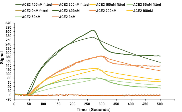 SARS-CoV-2 Spike protein RBD his/sumostar tag captured on COOH chip can bind Human ACE2 protein Fc tag with an affinity constant of 100 nM as detected by LSPR Assay. Biological Activity Assay