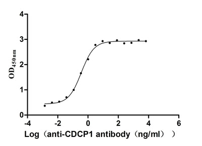 Activity Measured by its binding ability in a functional ELISA. Immobilized Human CDCP1 at 2μg/mL can bind Anti-CDCP1 recombinant antibody ，the EC 50 is 0.2943-0.4429 ng/mL. Biological Activity Assay