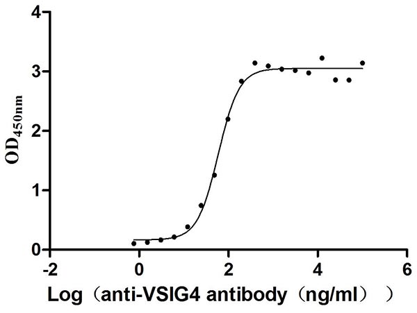 Activity Measured by its binding ability in a functional ELISA. Immobilized Human VSIG4 at 2 μg/ml can bind Anti-VSIG4 recombinant antibody , the EC 50 is 51.14-68.73 ng/mL.