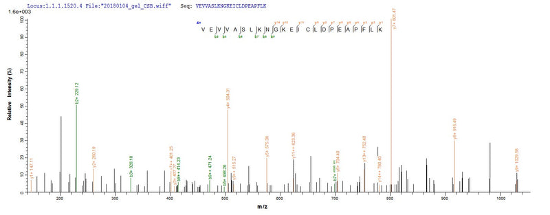 Based on the SEQUEST from database of E.coli host and target protein, the LC-MS/MS Analysis result of this product could indicate that this peptide derived from E.coli-expressed Homo sapiens (Human) CXCL5.