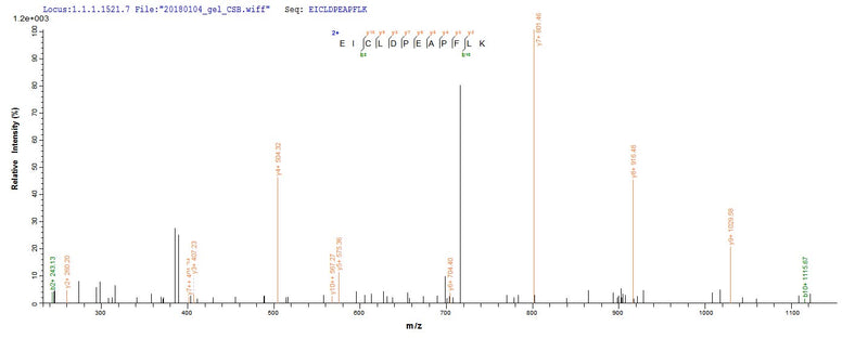 Based on the SEQUEST from database of E.coli host and target protein, the LC-MS/MS Analysis result of this product could indicate that this peptide derived from E.coli-expressed Homo sapiens (Human) CXCL5.