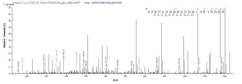 Based on the SEQUEST from database of E.coli host and target protein, the LC-MS/MS Analysis result of this product could indicate that this peptide derived from E.coli-expressed Homo sapiens (Human) IGF1.