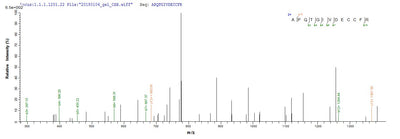 Based on the SEQUEST from database of E.coli host and target protein, the LC-MS/MS Analysis result of this product could indicate that this peptide derived from E.coli-expressed Homo sapiens (Human) IGF1.