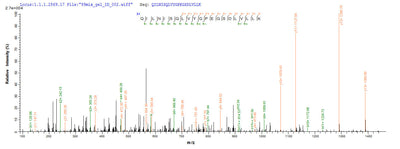 Based on the SEQUEST from database of E.coli host and target protein, the LC-MS/MS Analysis result of this product could indicate that this peptide derived from E.coli-expressed Rattus norvegicus (Rat) Hgf.