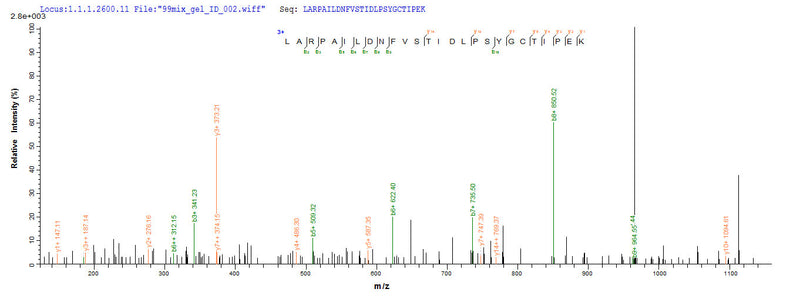 Based on the SEQUEST from database of E.coli host and target protein, the LC-MS/MS Analysis result of this product could indicate that this peptide derived from E.coli-expressed Rattus norvegicus (Rat) Hgf.