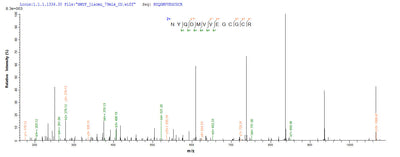 Based on the SEQUEST from database of E.coli host and target protein, the LC-MS/MS Analysis result of this product could indicate that this peptide derived from E.coli-expressed Homo sapiens (Human) BMP2.