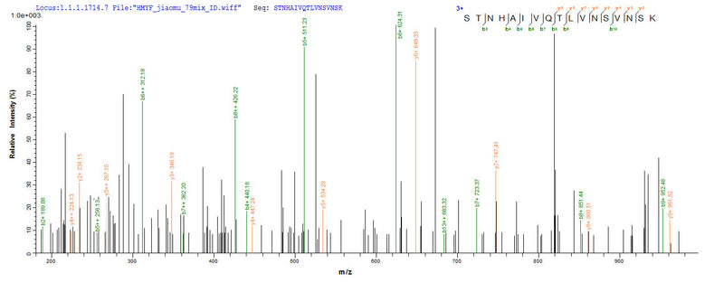 Based on the SEQUEST from database of E.coli host and target protein, the LC-MS/MS Analysis result of this product could indicate that this peptide derived from E.coli-expressed Homo sapiens (Human) BMP2.