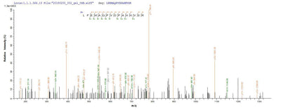 Based on the SEQUEST from database of E.coli host and target protein, the LC-MS/MS Analysis result of this product could indicate that this peptide derived from E.coli-expressed Homo sapiens (Human) ANGPTL4.