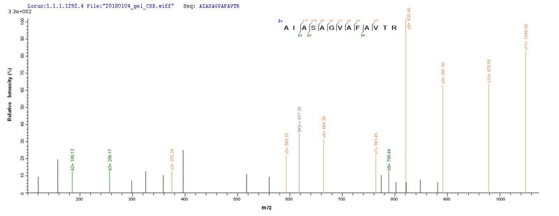 Based on the SEQUEST from database of E.coli host and target protein, the LC-MS/MS Analysis result of this product could indicate that this peptide derived from E.coli-expressed Homo sapiens (Human) WNT3A.