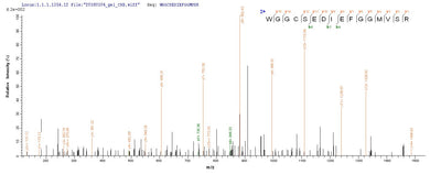 Based on the SEQUEST from database of E.coli host and target protein, the LC-MS/MS Analysis result of this product could indicate that this peptide derived from E.coli-expressed Homo sapiens (Human) WNT3A.