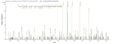 Based on the SEQUEST from database of E.coli host and target protein, the LC-MS/MS Analysis result of this product could indicate that this peptide derived from E.coli-expressed Homo sapiens (Human) IL18BP.