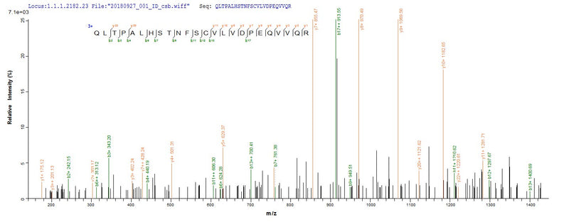 Based on the SEQUEST from database of E.coli host and target protein, the LC-MS/MS Analysis result of this product could indicate that this peptide derived from E.coli-expressed Homo sapiens (Human) IL18BP.