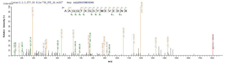 Based on the SEQUEST from database of Yeast host and target protein, the LC-MS/MS Analysis result of this product could indicate that this peptide derived from Yeast-expressed Mus musculus (Mouse) Aqp4.