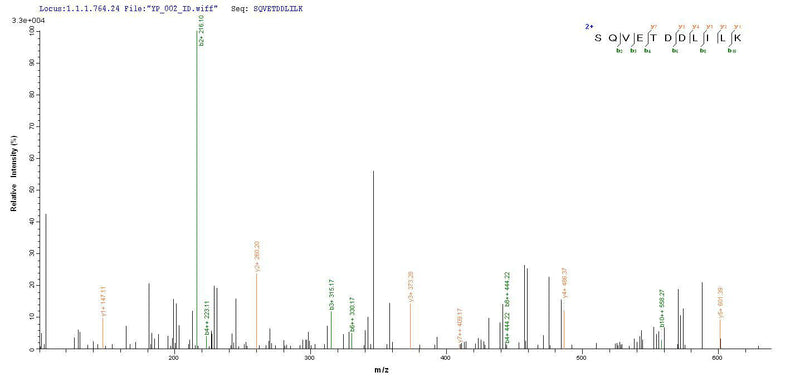 Based on the SEQUEST from database of Yeast host and target protein, the LC-MS/MS Analysis result of this product could indicate that this peptide derived from Yeast-expressed Mus musculus (Mouse) Aqp4.