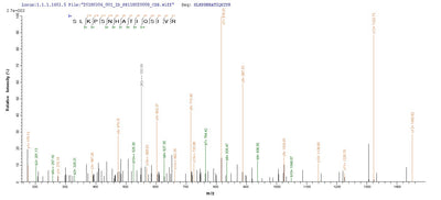 Based on the SEQUEST from database of Yeast host and target protein, the LC-MS/MS Analysis result of this product could indicate that this peptide derived from Yeast-expressed Homo sapiens (Human) BMP3.