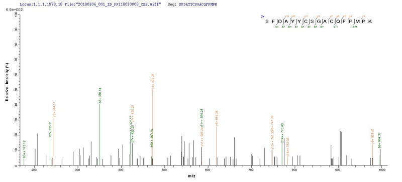 Based on the SEQUEST from database of Yeast host and target protein, the LC-MS/MS Analysis result of this product could indicate that this peptide derived from Yeast-expressed Homo sapiens (Human) BMP3.