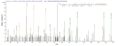 Based on the SEQUEST from database of Yeast host and target protein, the LC-MS/MS Analysis result of this product could indicate that this peptide derived from Yeast-expressed Mus musculus (Mouse) Cd3e.