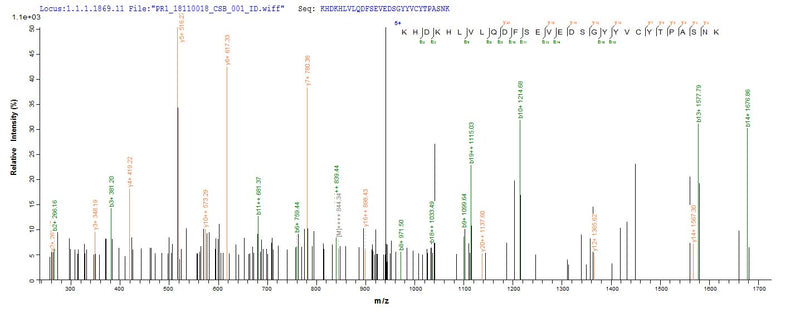 Based on the SEQUEST from database of Yeast host and target protein, the LC-MS/MS Analysis result of this product could indicate that this peptide derived from Yeast-expressed Mus musculus (Mouse) Cd3e.