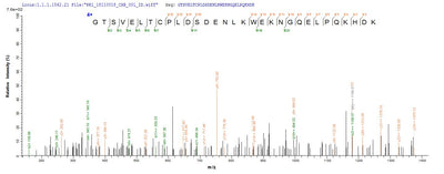 Based on the SEQUEST from database of Yeast host and target protein, the LC-MS/MS Analysis result of this product could indicate that this peptide derived from Yeast-expressed Mus musculus (Mouse) Cd3e.