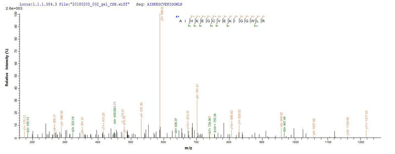 Based on the SEQUEST from database of Yeast host and target protein, the LC-MS/MS Analysis result of this product could indicate that this peptide derived from Yeast-expressed Homo sapiens (Human) CD63.