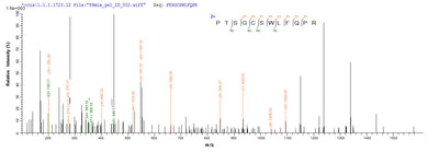 Based on the SEQUEST from database of Yeast host and target protein, the LC-MS/MS Analysis result of this product could indicate that this peptide derived from Yeast-expressed Homo sapiens (Human) CD8A.