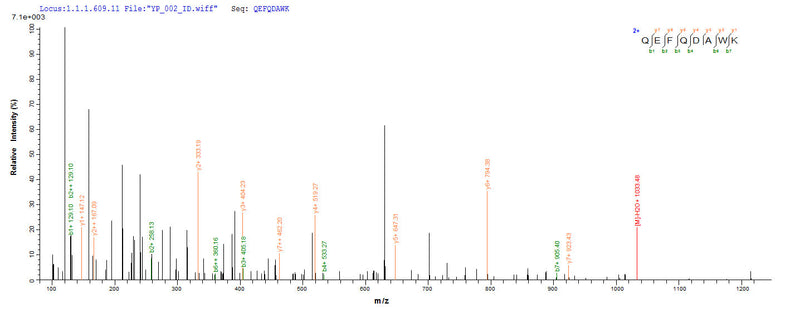 Based on the SEQUEST from database of Yeast host and target protein, the LC-MS/MS Analysis result of this product could indicate that this peptide derived from Yeast-expressed Homo sapiens (Human) CYBB.