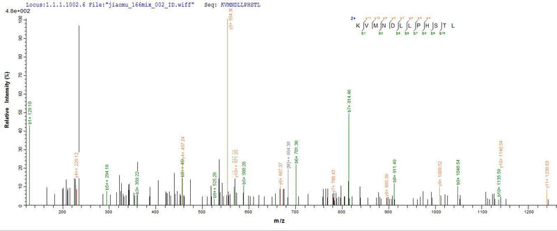 Based on the SEQUEST from database of Yeast host and target protein, the LC-MS/MS Analysis result of this product could indicate that this peptide derived from Yeast-expressed Marmota monax (Woodchuck) IFNG.