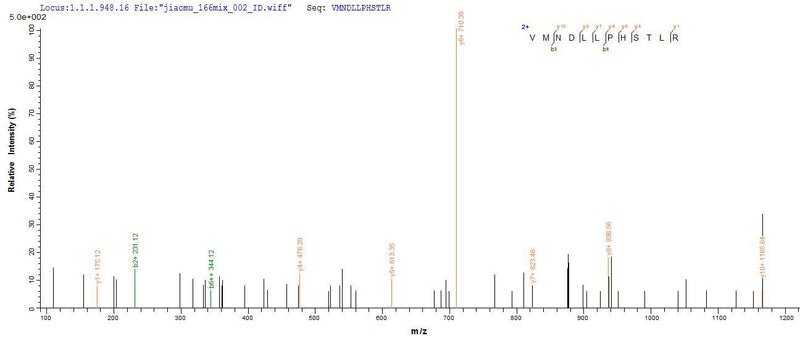 Based on the SEQUEST from database of Yeast host and target protein, the LC-MS/MS Analysis result of this product could indicate that this peptide derived from Yeast-expressed Marmota monax (Woodchuck) IFNG.