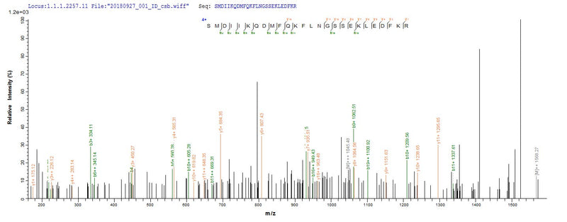 Based on the SEQUEST from database of Yeast host and target protein, the LC-MS/MS Analysis result of this product could indicate that this peptide derived from Yeast-expressed Ovis aries (Sheep) IFNG.