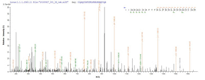 Based on the SEQUEST from database of Yeast host and target protein, the LC-MS/MS Analysis result of this product could indicate that this peptide derived from Yeast-expressed Ovis aries (Sheep) IFNG.