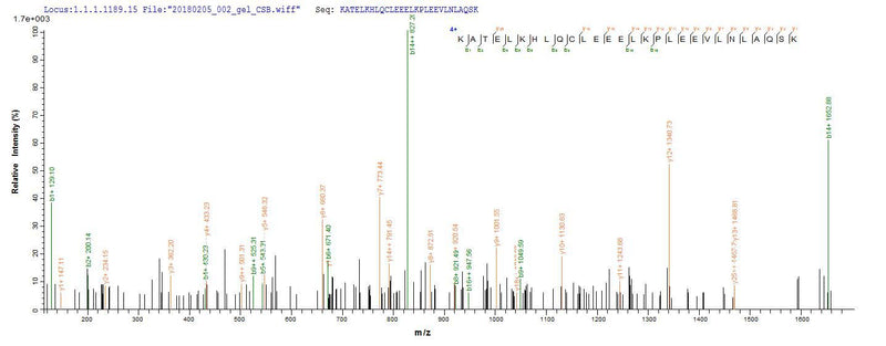 Based on the SEQUEST from database of Yeast host and target protein, the LC-MS/MS Analysis result of this product could indicate that this peptide derived from Yeast-expressed Homo sapiens (Human) IL2.