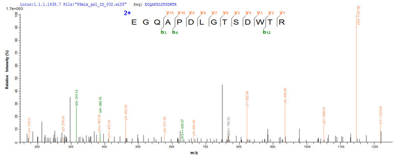 Based on the SEQUEST from database of Yeast host and target protein, the LC-MS/MS Analysis result of this product could indicate that this peptide derived from Yeast-expressed Mus musculus (Mouse) Mapt.