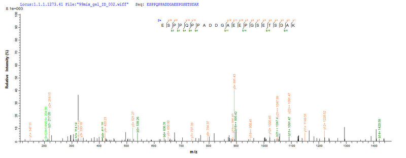 Based on the SEQUEST from database of Yeast host and target protein, the LC-MS/MS Analysis result of this product could indicate that this peptide derived from Yeast-expressed Mus musculus (Mouse) Mapt.