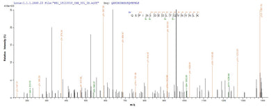 Based on the SEQUEST from database of Yeast host and target protein, the LC-MS/MS Analysis result of this product could indicate that this peptide derived from Yeast-expressed Homo sapiens (Human) PTPRZ1.