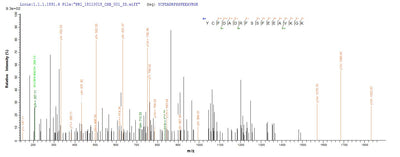 Based on the SEQUEST from database of Yeast host and target protein, the LC-MS/MS Analysis result of this product could indicate that this peptide derived from Yeast-expressed Homo sapiens (Human) PTPRZ1.