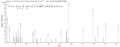 Based on the SEQUEST from database of Yeast host and target protein, the LC-MS/MS Analysis result of this product could indicate that this peptide derived from Yeast-expressed Mus musculus (Mouse) Spp1.