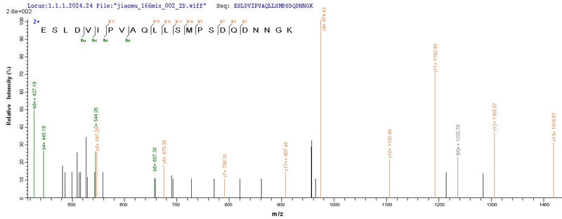 Based on the SEQUEST from database of Yeast host and target protein, the LC-MS/MS Analysis result of this product could indicate that this peptide derived from Yeast-expressed Mus musculus (Mouse) Spp1.