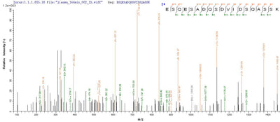 Based on the SEQUEST from database of Yeast host and target protein, the LC-MS/MS Analysis result of this product could indicate that this peptide derived from Yeast-expressed Mus musculus (Mouse) Spp1.