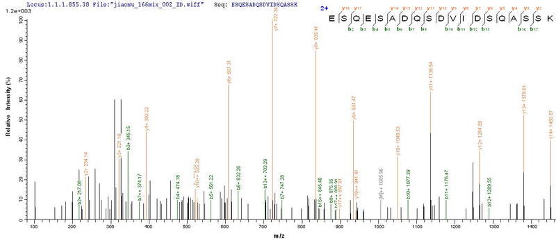 Based on the SEQUEST from database of Yeast host and target protein, the LC-MS/MS Analysis result of this product could indicate that this peptide derived from Yeast-expressed Mus musculus (Mouse) Spp1.