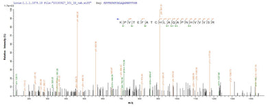 Based on the SEQUEST from database of Yeast host and target protein, the LC-MS/MS Analysis result of this product could indicate that this peptide derived from Yeast-expressed Rattus norvegicus (Rat) Tf.