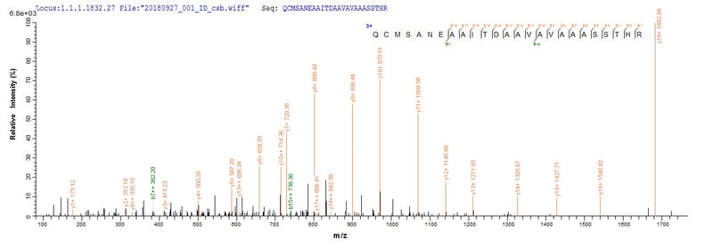 Based on the SEQUEST from database of Yeast host and target protein, the LC-MS/MS Analysis result of this product could indicate that this peptide derived from Yeast-expressed Vaccinia virus (strain Western Reserve) (VACV) (Vaccinia virus (strain WR)) VACWR156.